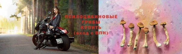 гидра Новозыбков