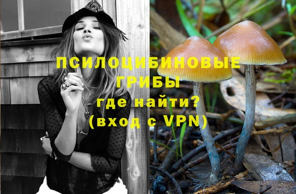 спиды Нея