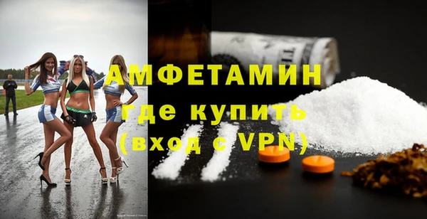 гидра Новозыбков